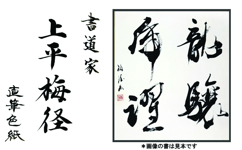 書道家による直筆書 上平梅径 直筆書(白4字)　【大阪 泉佐野 大阪府 泉佐野市】