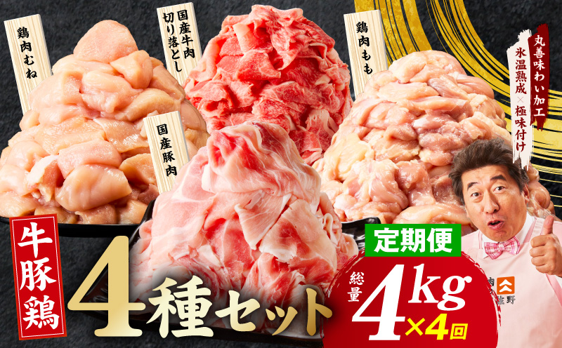 【定期便】国産 牛豚鶏 4種セット 4kg×4回【氷温熟成×極味付け 牛肉 豚肉 鶏肉 もも むね 食べ比べ 普段使い 味付き 小分け 訳あり サイズ不揃い 毎月配送コース】