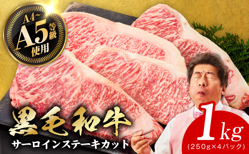A5/A4ランク 黒毛和牛 サーロインステーキカット 合計1kg（250g×4P） + 圧倒的企業努力 サーロインステーキ 250g【極味付け肉】