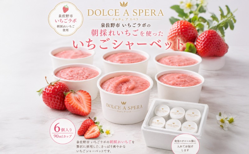朝採れいちごのシャーベット6個 ー泉佐野・いちごラボより,果実そのままにー【大阪 泉佐野 大阪府 泉佐野市】
