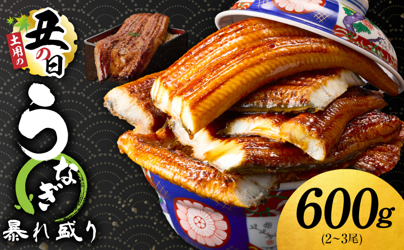 【7/26土用の丑の日】うなぎ 蒲焼き 暴れ盛り 合計 600g【鰻 真空パック 簡単調理 訳あり サイズ不揃い 人気 惣菜 うな重 うな丼 ひつまぶし にも】