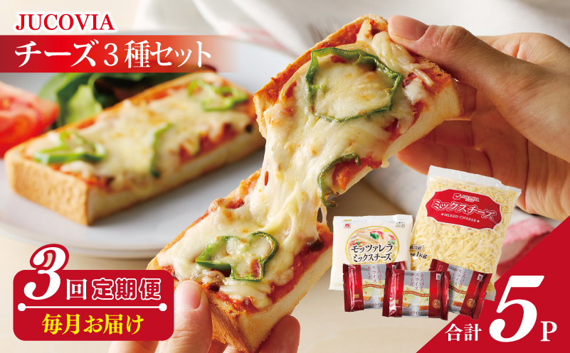 人気チーズ 定期便 3種セット×全3回 ムラカワチーズ【毎月配送 普段使い 高評価 ちーず】