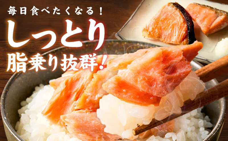 鮭の切り身 500g（11〜13切れ）【お弁当 訳アリ 不揃い 切身 サケ さけ しゃけ シャケ 魚介 海鮮 魚 さかな】