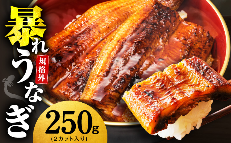 【規格外】うなぎ 暴れ盛り 250g（2カット）【お試し 鰻 かば焼き 簡単調理 訳あり サイズ不揃い 人気 惣菜 うな重 うな丼 ひつまぶし】