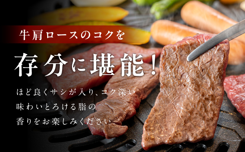 黒毛和牛 焼肉用 1.2kg【氷温熟成×特製ダレ 肩ロース 400g×3P 訳あり サイズ不揃い 焼肉 BBQ バーベキュー 人気】