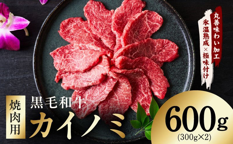 【氷温熟成×極味付け】黒毛和牛 カイノミ 焼肉用 600g【小分け 300g×2P 牛肉 かいのみ 赤身 希少部位】