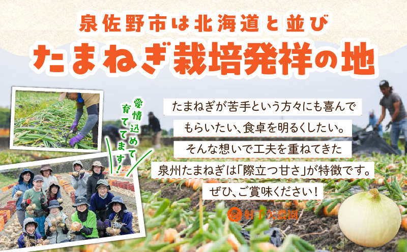 【プレミアム】泉州たまねぎ 5kg【玉ねぎ タマネギ 玉葱 甘い 野菜 国産 オニオン サラダ カレー バーベキュー 先行予約】