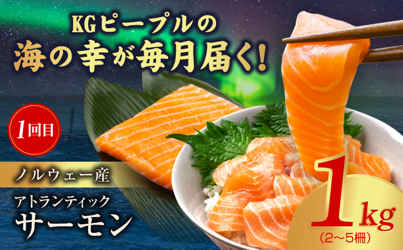 豬キ魄ョ鬟溘∋豈斐∋ 螳壽悄萓ソ 蜈ィ5蝗 邱城6kg莉・荳翫舌し繝シ繝「繝ウ 繝悶Λ繝繧ッ繧ソ繧、繧ャ繝シ 驫魍 驫魄ュ 魏ケ 險ウ縺ゅj 繧オ繧、繧コ荳肴純縺 蟆丞縺 諠」闖 螟ァ髦ェ 豕我ス宣 螟ァ髦ェ蠎 豕我ス宣主クゅ