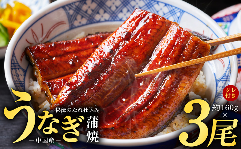 秘伝のたれ仕込み うなぎ蒲焼 合計480g（約160ｇ×3尾）鰻 ウナギ 中国産 温めるだけ 簡単 レンジ調理 ふっくらふわふわ 炭火焼き 備長炭 手焼き