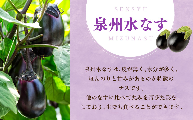 ãå
è¡äºçŽãç¹éž ç¡æ·»å æ°Žãªã挬ã 4åãæ°é®® éè æ³äœéç£ èå ããã TONOãã¡ãŒã é«è©äŸ¡ æ°ééå®ã