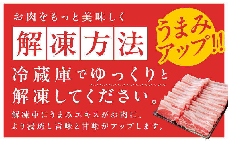 【氷温熟成×極味付け】国産 豚バラ スライス 1.2kg【小分け 300g×4P 豚肉 ぶたにく 普段使い】