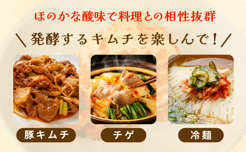 éåœäººãäœãïŒç¡æ·»å ã»ç ç³äžäœ¿çšã®ãã ãã»ãã500g+ããŸãå£ç¯ã®ãã ã100gãæ¬å Ž éåœ ããã¡ äººæ° ç¡æ·»å éåœæç æ£èã