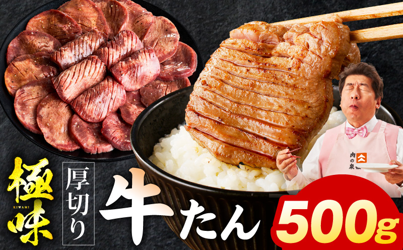 厚切り牛たん 500g【氷温熟成×旨塩ダレ 味付き 訳あり サイズ不揃い 500g 小分け 焼くだけ 焼肉】