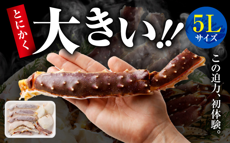 生タラバガニ 1kg 特大 5Lサイズ カット済み【カニ かに 蟹 たらば蟹 タラバ蟹 タラバカニ 海鮮 魚介 家計応援】 	【大阪 泉佐野 大阪府 泉佐野市】