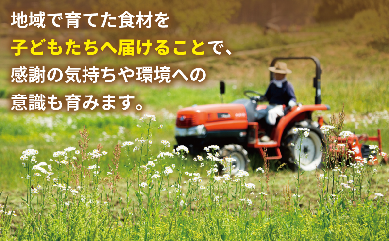 【返礼品なし】SDGs持続可能な食の環境づくり！オーガニック給食と地産地消 推進応援寄附（大阪府泉佐野市）