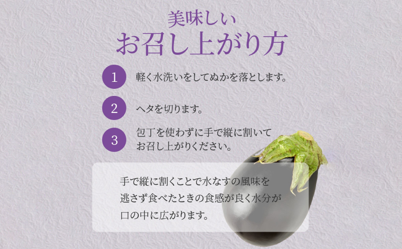 水なす浅漬け5個と水なす染め泉州タオルセット【新鮮 野菜 泉佐野産 茄子 やさい 高評価 数量限定】
