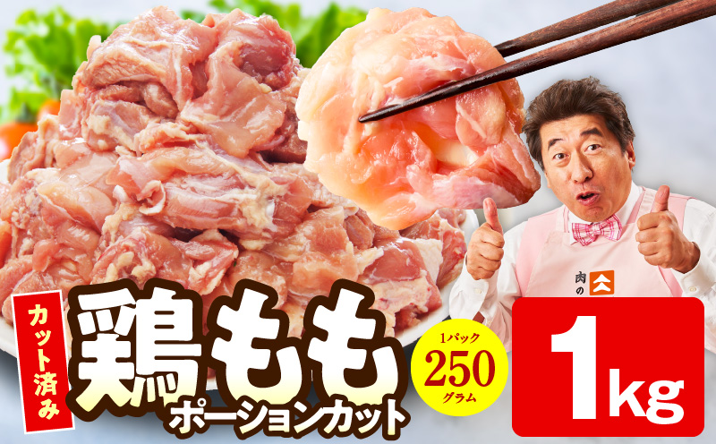 【特別規格】国産 鶏もも肉 ポーションカット 1kg 【スピード発送 カット済み 氷温熟成×極味付け 小分け 味付き 簡単調理 訳あり サイズ不揃い 鶏肉 とり 大阪 泉佐野 大阪府 泉佐野市】