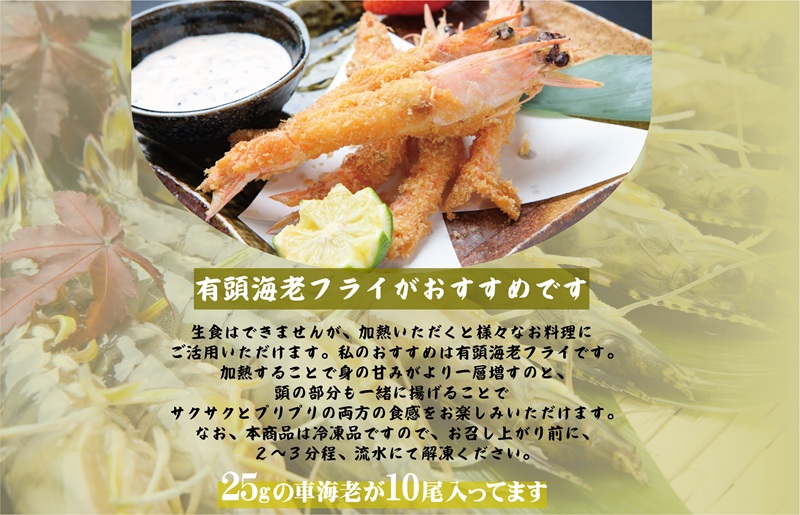 ãã¹ããŒãçºéãèš³ã¢ãªïŒã詊ã å ç±èª¿ççš æ³å·è»æµ·è250gãTVã§ç޹ä»ãããŸããïŒ å§åçäŒæ¥åªåã