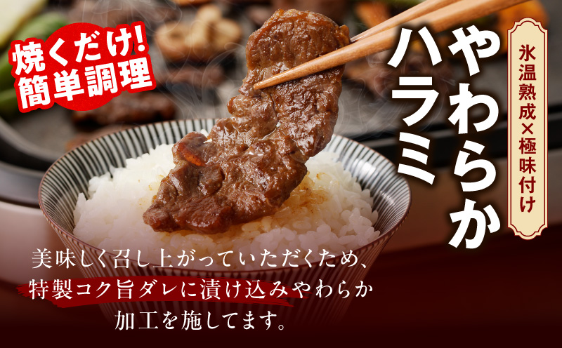 焼肉 福袋 4種セット 定期便 2kg×2回【氷温熟成×特製ダレ 食べ比べ 小分け 500g 牛肉 牛タン ヒレ ハラミ バラ 数量限定 毎月配送コース】