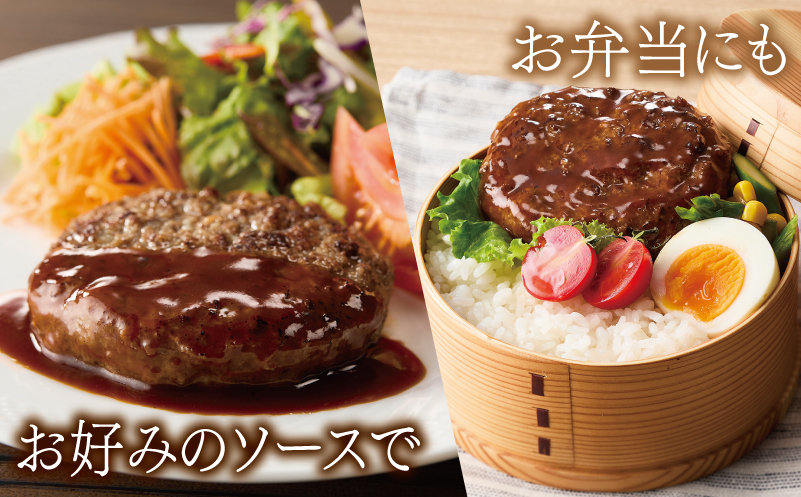 桜文 馬肉ハンバーグ 総量1.2kg（120g×10個） 個包装