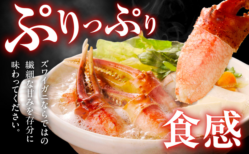 【高評価】本ズワイ蟹 爪肉 500g カット済み（2-3人前）【2Lサイズ ボイル ずわいがに カニ 海鮮 訳あり サイズ不揃い 規格外 かに鍋】 