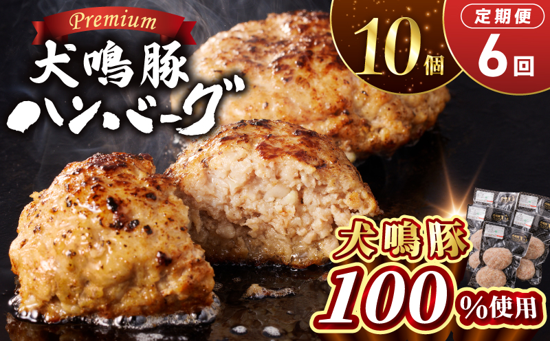 【泉佐野ブランド豚】犬鳴豚の手作りプレミアムハンバーグ（10個入り）×6回【国産 豚肉 ぶたにく 定期便 犬鳴ポーク 普段使い】