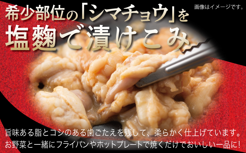 牛シマチョウ 焼肉用 塩麹漬け 500g【味付け 小分け 250g×2P 焼くだけ 簡単調理 BBQ 牛肉 ホルモン お試し 普段使い】