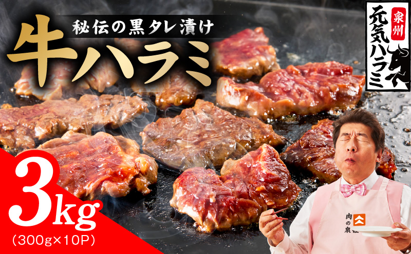 【新登場】極旨黒ダレ 牛ハラミ肉 3kg（300g×10P）【牛肉 はらみ 小分け 焼肉 お弁当 BBQ 訳あり ワケアリ わけあり サイズ不揃い 規格外 TVで話題 大阪 泉佐野 大阪府 泉佐野市】