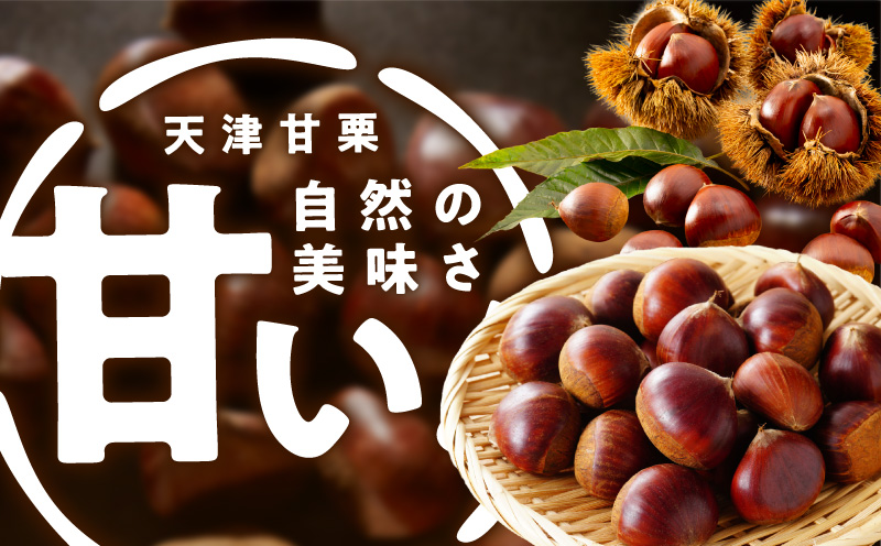 当店自慢の天津甘栗 1.2kg【小分け 400g×3P お菓子 おつまみ 人気 甘味料不使用】