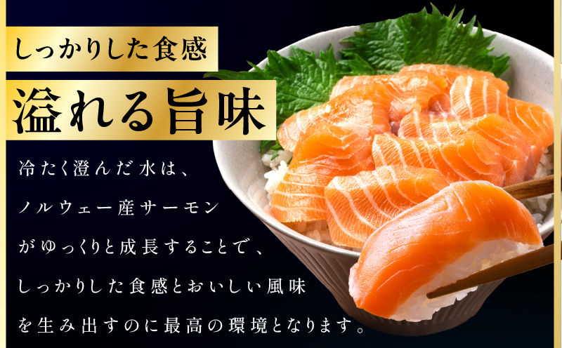 ãå®æäŸ¿ããã«ãŠã§ãŒç£ ãã¬ãã¢ã ã¢ãã©ã³ãã£ãã¯ãµãŒã¢ã³ 1kg ã2ã5æµ èš³ãã ãµã€ãºäžæã åºèº« 海鮮䞌 ãµã©ã å·å 2026幎2æïŒ5æçºé å
š2åã