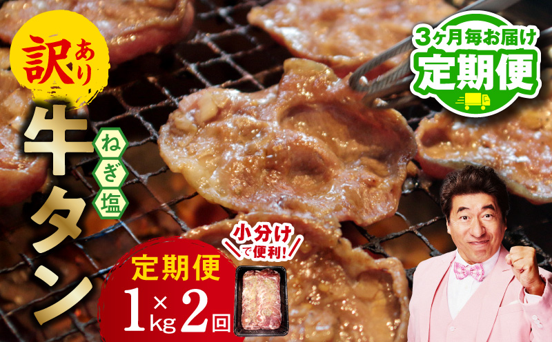 【定期便】ねぎ塩 牛たん（成型）合計 1kg 小分け 250g×4【牛タン 牛肉 焼肉用 薄切り 訳あり サイズ不揃い 2026年2月＆5月発送 全2回】