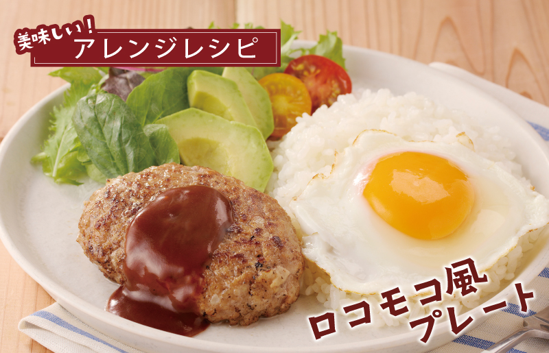 【泉佐野ブランド豚】犬鳴豚の手作りプレミアムハンバーグ（20個入り）【国産 豚肉 ぶたにく 犬鳴ポーク 普段使い】