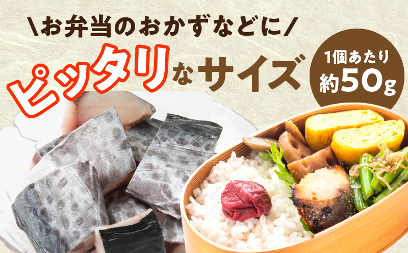 【定期便】さわら 切身 約50g×10切れ 全2回【2026年2月＆2026年5月発送 お弁当サイズ 小分け 漁師 手切り 500g 泉州 鰆 切り身 弁当 朝食 時短 訳あり サイズ不揃い 規格外 冷凍食品】