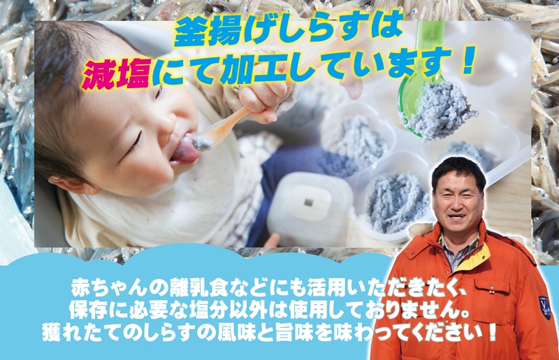 減塩 釜揚げしらす 600g×全6回【定期便 小分け シラス しらす sirasu 海鮮 人気 おすすめ 産地直送】
