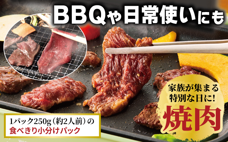 牛タン焼肉 オリジナルスパイス＆牛ハラミ甘辛 食べ比べ焼肉セット 合計1kg（250g×4P）