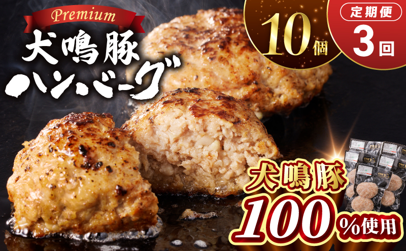 【泉佐野ブランド豚】犬鳴豚の手作りプレミアムハンバーグ（10個入り）×3回【国産 豚肉 ぶたにく 定期便 犬鳴ポーク 普段使い】