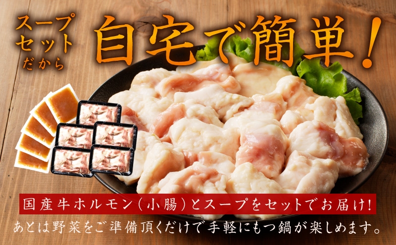 牛もつ鍋セット 15人前【国産 牛肉 ホルモン 塩こうじ スープ付き モツ 鍋 高評価 冷凍 鍋セット 簡単調理】