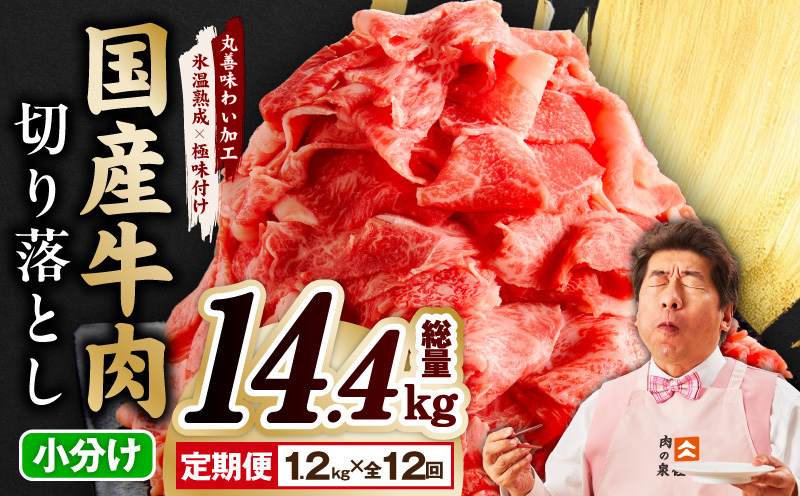 【定期便】国産 牛肉 切り落とし 定期便 1.2kg×全12回 総量 14.4kg【国産 牛肉 氷温熟成×極味付け 訳あり サイズ不揃い カレー 牛丼 野菜炒め 肉じゃが 家計応援 毎月配送コース 大阪 泉佐野 大阪府 泉佐野市】