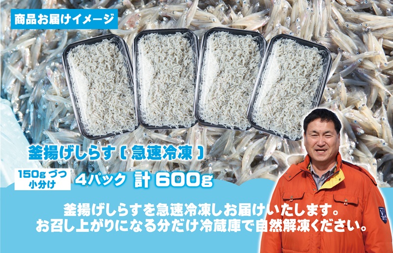【お中元対応】減塩 釜揚げしらす 600g【小分け 150g×4P シラス しらす sirasu 海鮮 人気 おすすめ 産地直送】