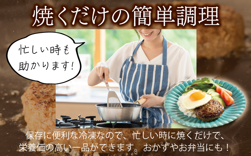 【定期便】 桜文 馬肉ハンバーグ 120ｇ×10個 全3回 【毎月配送コース】