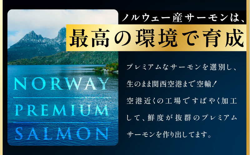 極上 アトランティックサーモン 1kg【ノルウェー産 2～5柵 訳あり サイズ不揃い 上質 刺身 海鮮丼 サラダ 冷凍 物価高応援】