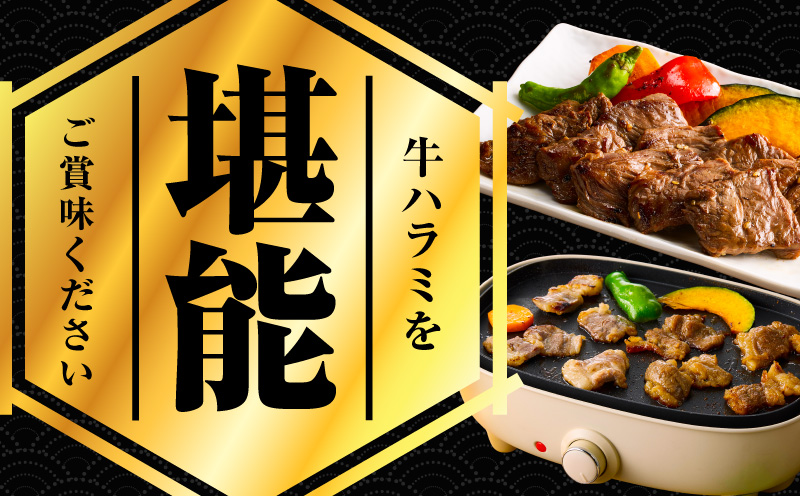 【満足牛ハラミ】中辛タレ漬け 400g【味付け ハラミ 小分け 焼くだけ 簡単調理 BBQ 牛肉 200g×2P 普段使い】