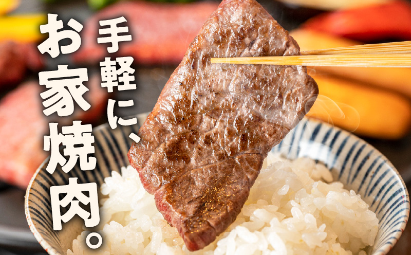 牛肉 ハラミ 1.2kg 小分け 300g×4P【氷温熟成×特製ダレ 味付き 牛肉 訳あり 不揃い 焼肉 BBQ 野菜炒め 圧倒的企業努力】