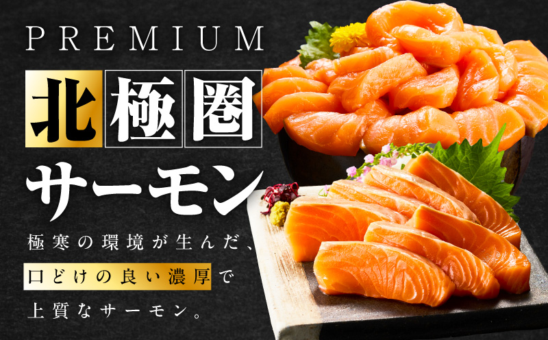 北極圏サーモン ポーション 700g【小分け 350g×2P 海鮮丼 人気 オススメ 小分け 冷凍 簡単調理 一人暮らし 東洋冷蔵】