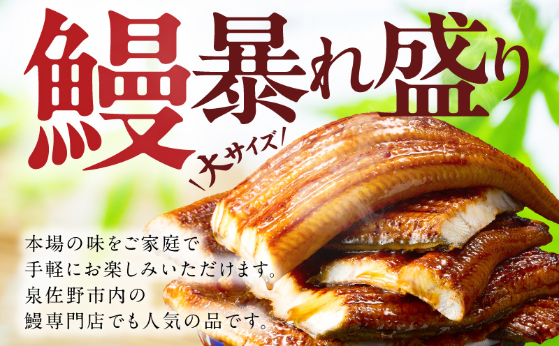 【土用の丑の日までにお届け】うなぎ 蒲焼き 暴れ盛り 合計 600g【鰻 真空パック 簡単調理 訳あり サイズ不揃い 人気 惣菜 うな重 うな丼 ひつまぶし にも 大阪 泉佐野 大阪府 泉佐野市】