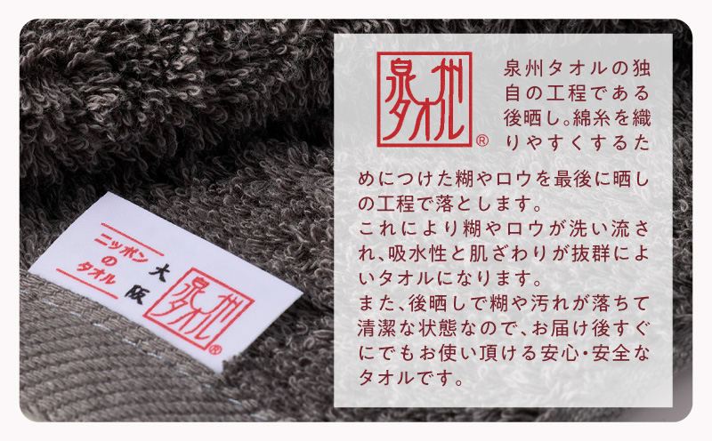 極åã¹ãªã ãã¹ã¿ãªã« ããŒã¯ã°ã¬ãŒ 4æãæ³å·ã¿ãªã« ããã åœç£ åžæ°Ž æ®æ®µäœ¿ã ã·ã³ãã« æ¥çšå å®¶æ ãã¡ããªãŒ å€§éª æ³äœé 倧éªåº æ³äœéåžã