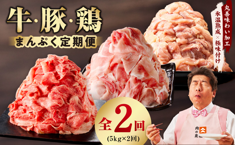 国産 牛肉＆豚肉＆鶏肉 まんぷく 定期便 5kg×2回【氷温熟成×極味付け 3種 食べ比べ 普段使い 味付き 小分け 訳あり サイズ不揃い 毎月配送コース】