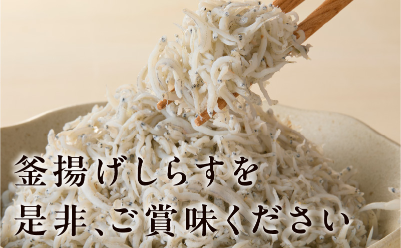 éæãããã 1.4kg èš³ãã å®¶åºçš å®å
šç¡æ·»å ããå¡©ä»ç«ãŠãå€§éª æ³äœé 倧éªåº æ³äœéåžã