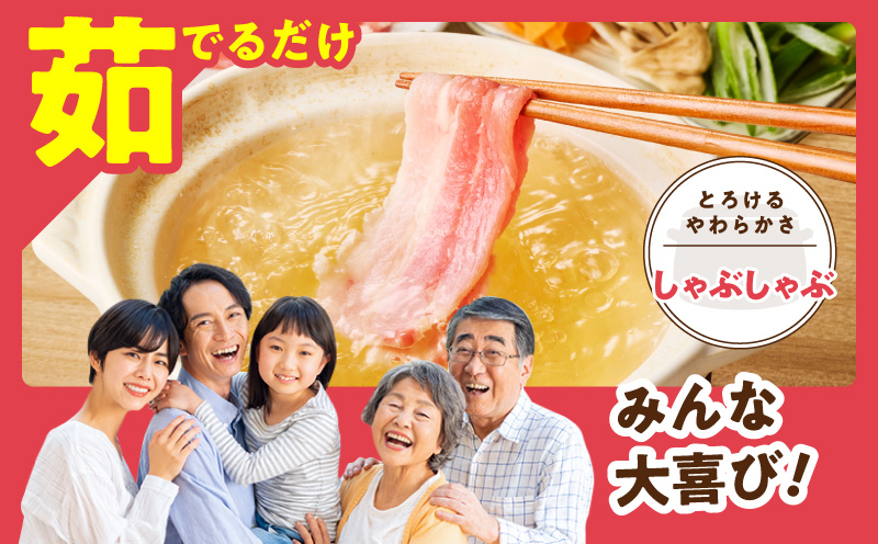 【氷温熟成×極味付け】国産 豚バラ スライス 2.4kg【小分け 300g×8P 豚肉 ぶたにく 普段使い 大阪 泉佐野 大阪府 泉佐野市】