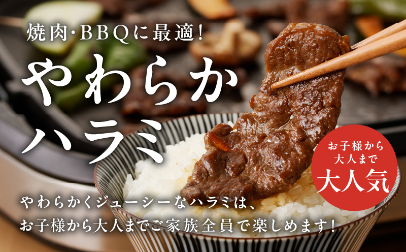 【スピード発送】やわらかハラミ 500g【氷温熟成×特製旨ダレ 味付き 訳あり サイズ不揃い 小分け 焼くだけ 焼肉】